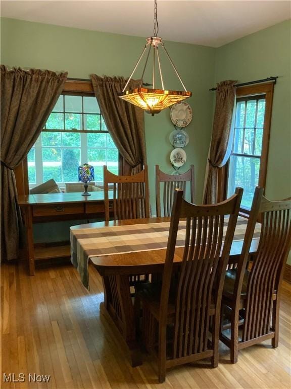 7434 Birkner Dr, Kent, OH 44240 - dining space featuring hardwood / wood-style flooring and healthy amount of natural light