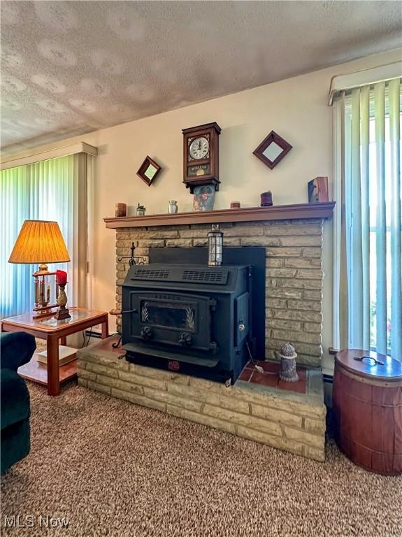 2308 Bears Den Rd, Youngstown, OH 44511 - detailed view of a wood stove, a textured ceiling, and carpet
