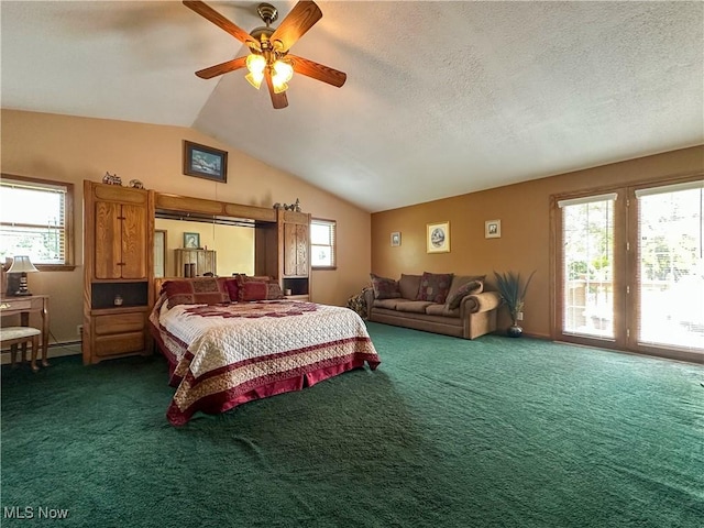 2308 Bears Den Rd, Youngstown, OH 44511 - bedroom with dark colored carpet, access to exterior, lofted ceiling, a baseboard heating unit, and a ceiling fan