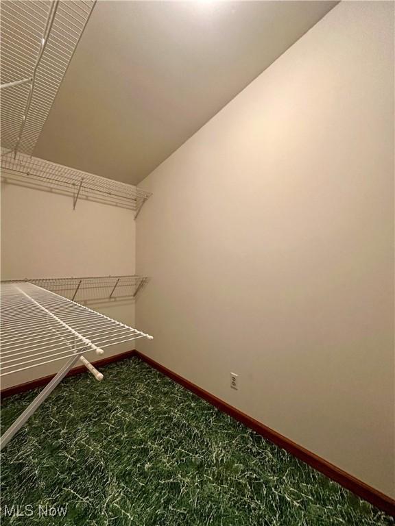 2308 Bears Den Rd, Youngstown, OH 44511 - spacious closet with lofted ceiling