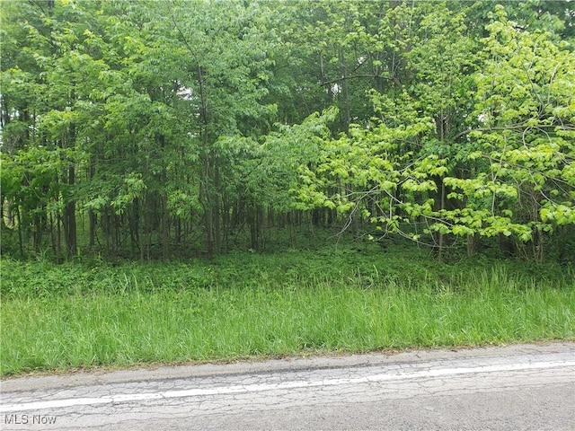 W Rd, Wellington, OH 44090