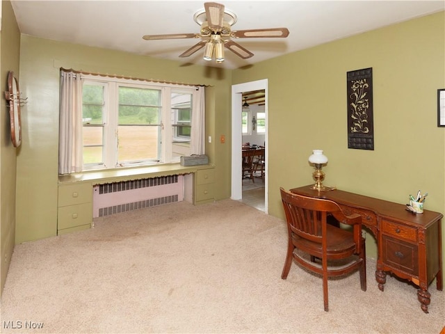 12209 Tinkers Creek Rd, Valley View, OH 44125 - carpeted home office with radiator heating unit and ceiling fan