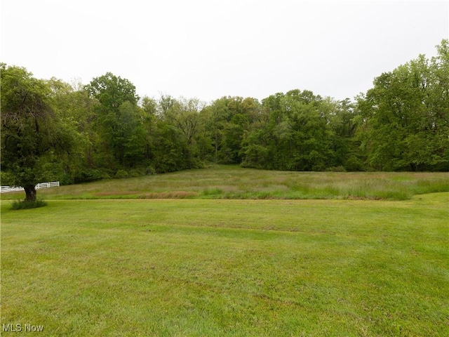 12209 Tinkers Creek Rd, Valley View, OH 44125 - view of green lawn featuring a wooded view