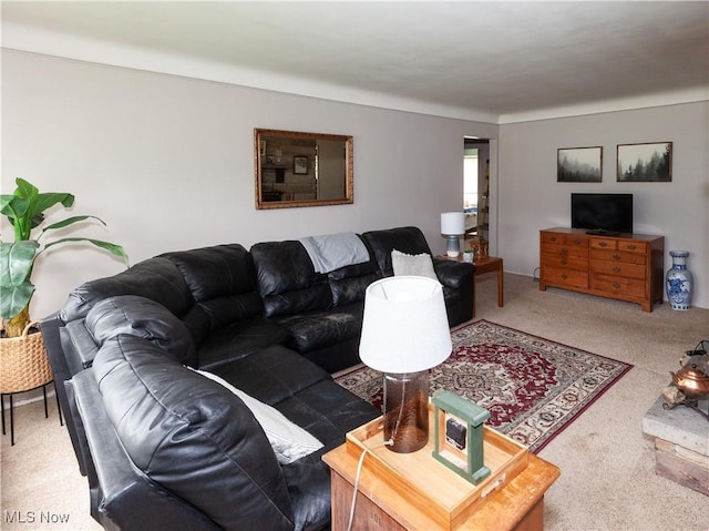 12209 Tinkers Creek Rd, Valley View, OH 44125 - living room with carpet flooring