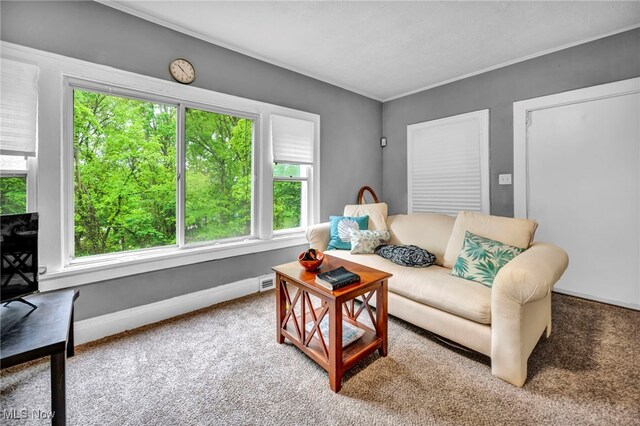 10234 Park Heights Rd, Cleveland, OH 44104 - carpeted living room featuring baseboards and crown molding
