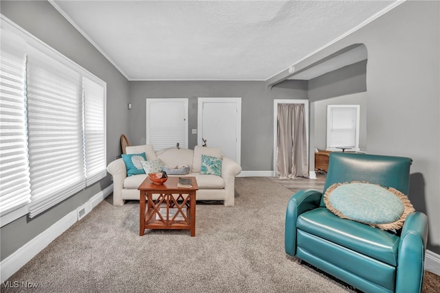 10234 Park Heights Rd, Cleveland, OH 44104 - carpeted living room featuring baseboards, a textured ceiling, and arched walkways
