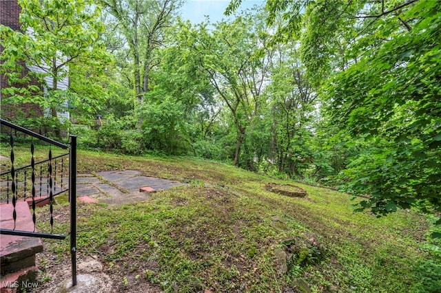 10234 Park Heights Rd, Cleveland, OH 44104 - view of yard with a patio