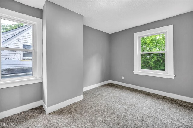 10234 Park Heights Rd, Cleveland, OH 44104 - carpeted spare room with plenty of natural light, baseboards, and a textured ceiling