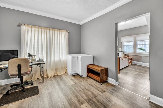 10234 Park Heights Rd, Cleveland, OH 44104 - office with light wood-style flooring, ornamental molding, a textured ceiling, and baseboards