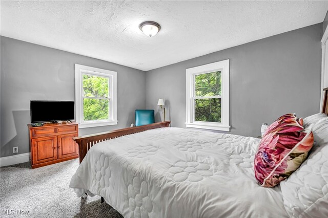10234 Park Heights Rd, Cleveland, OH 44104 - carpeted bedroom with multiple windows, a textured ceiling, and baseboards
