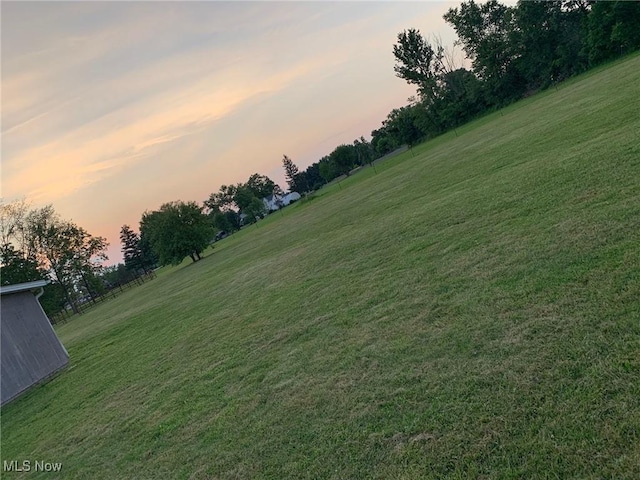 10677 Moss Rd, Lodi, OH 44254 - view of grassy yard
