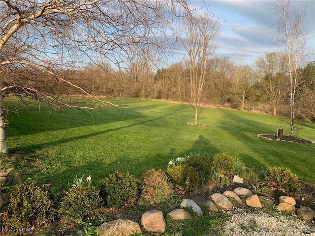 10677 Moss Rd, Lodi, OH 44254 - view of grassy yard