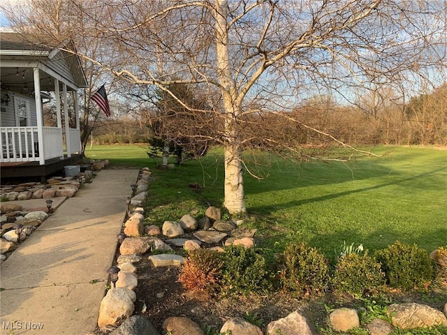 10677 Moss Rd, Lodi, OH 44254 - view of green lawn