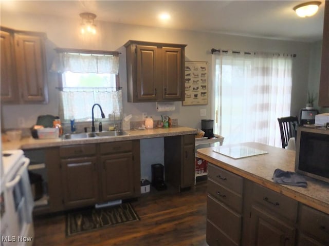 10677 Moss Rd, Lodi, OH 44254 - kitchen featuring a sink, range, stainless steel microwave, and light countertops