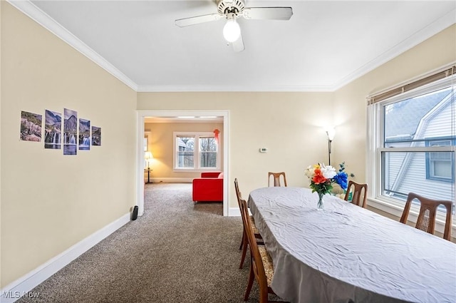 2620 Mayfield Rd, Cleveland Heights, OH 44106 - photo 25
