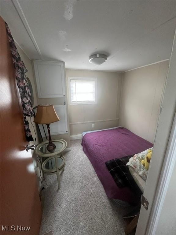 107 Marilyn Dr, Madison, OH 44057 - carpeted bedroom featuring baseboards