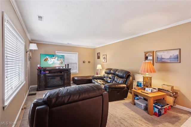 153 N Doan Ave, Painesville, OH 44077 - living area featuring light carpet, ornamental molding, baseboards, and a glass covered fireplace
