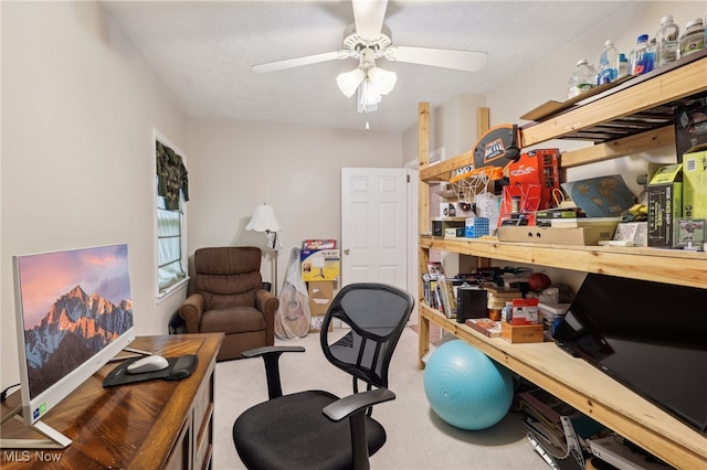 153 N Doan Ave, Painesville, OH 44077 - office with a ceiling fan