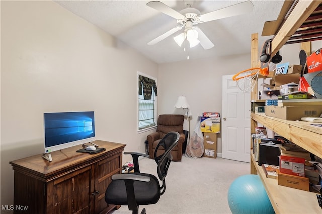 153 N Doan Ave, Painesville, OH 44077 - home office with carpet and a ceiling fan
