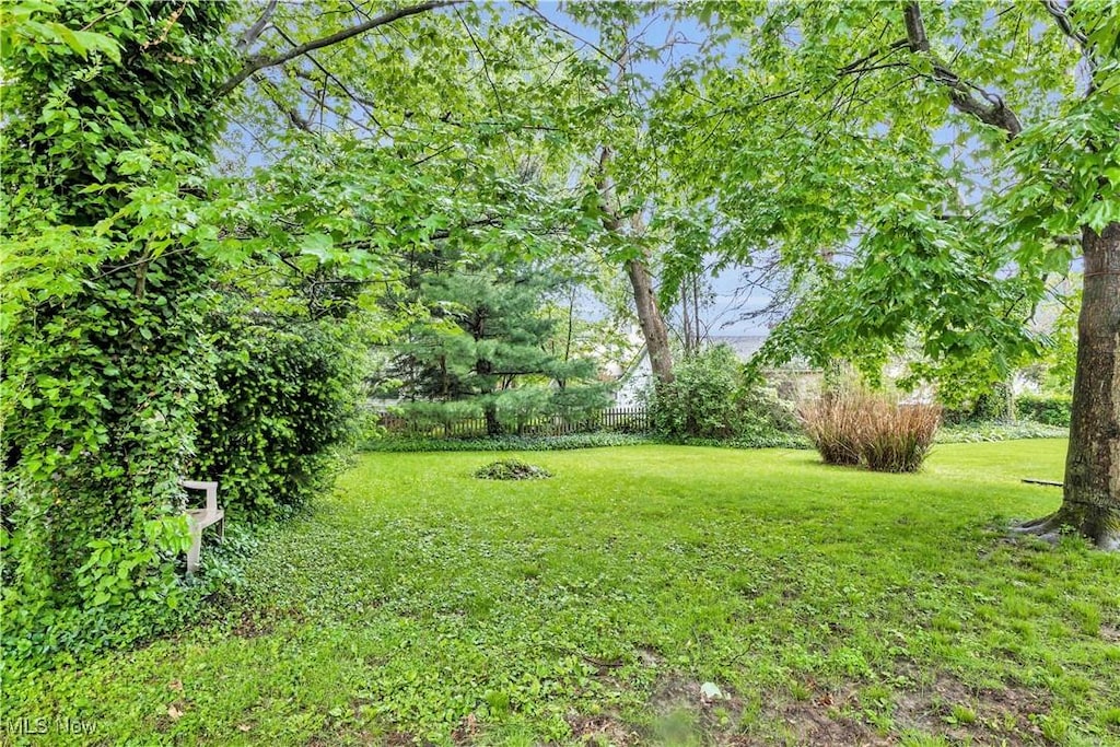 1414 Hollywood St NE, Warren, OH 44483 - view of yard