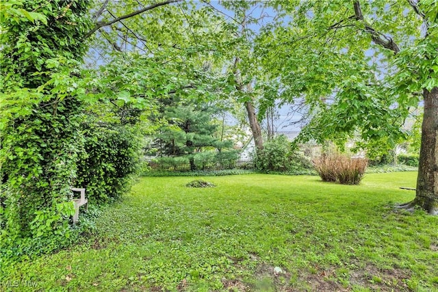 1414 Hollywood St NE, Warren, OH 44483 - view of yard