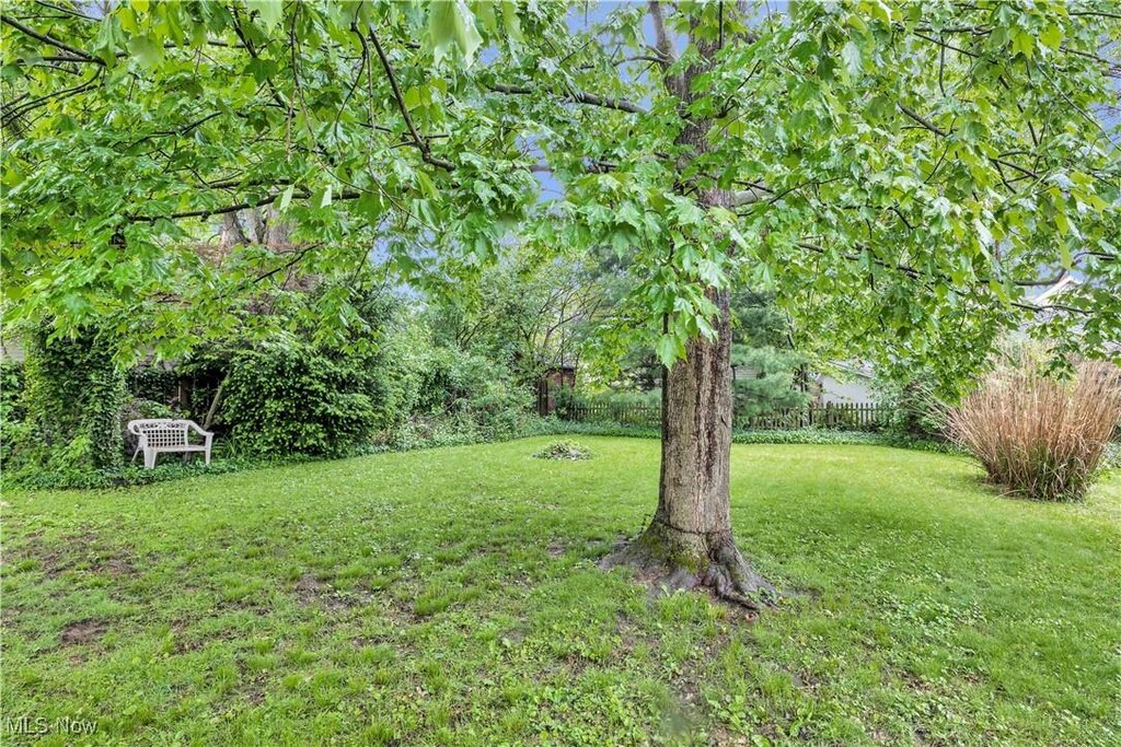 1414 Hollywood St NE, Warren, OH 44483 - view of yard