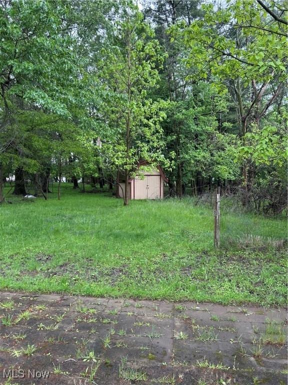 16112 Raymond St, Maple Heights, OH 44137 - view of yard