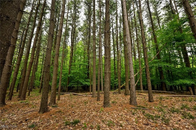 5360 Lance Rd, Medina, OH 44256 - view of wooded area