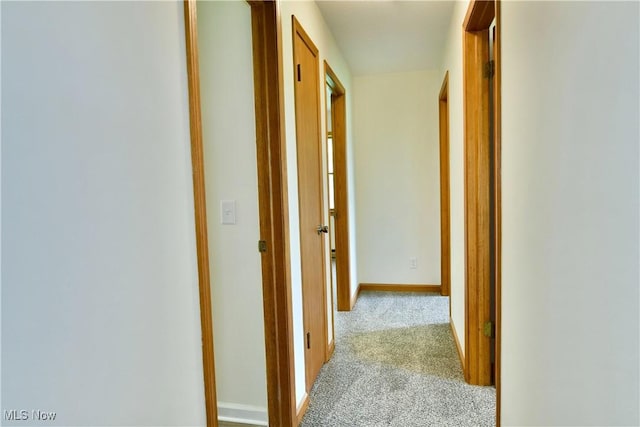 5990 Stewart Sharon Rd, Hubbard, OH 44425 - corridor featuring carpet floors and baseboards