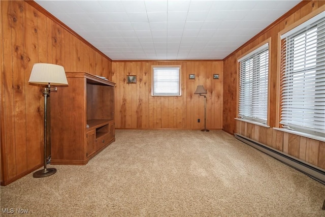 58429 Lashley Rd, Senecaville, OH 43780 - spare room with baseboard heating, light colored carpet, wood walls, and baseboards