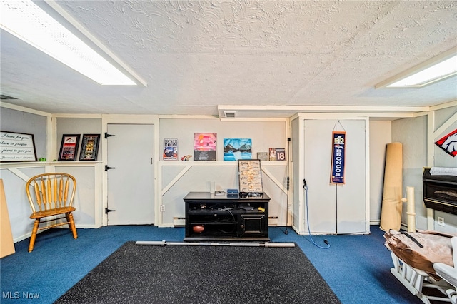 3906 Redfern Rd, Parma, OH 44134 - miscellaneous room with carpet, a textured ceiling, and a baseboard radiator