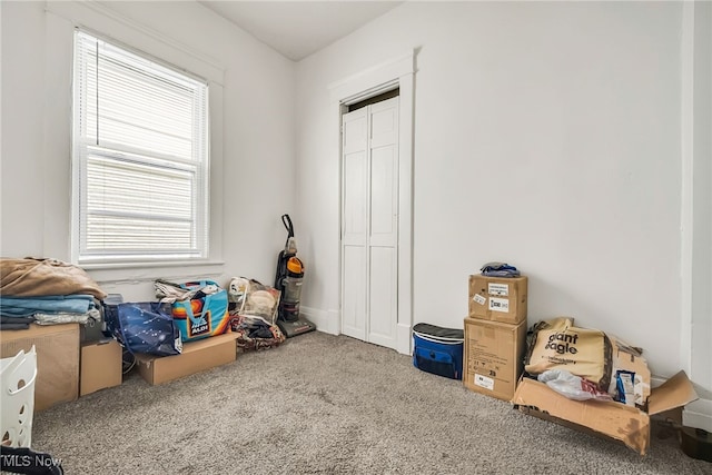 11020 Woodstock Ave, Cleveland, OH 44104 - misc room with carpet floors and healthy amount of natural light