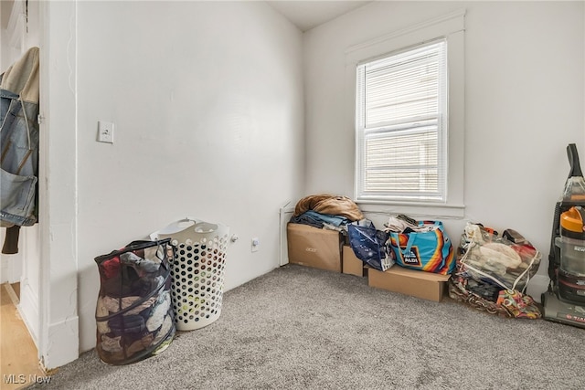 11020 Woodstock Ave, Cleveland, OH 44104 - playroom featuring carpet floors