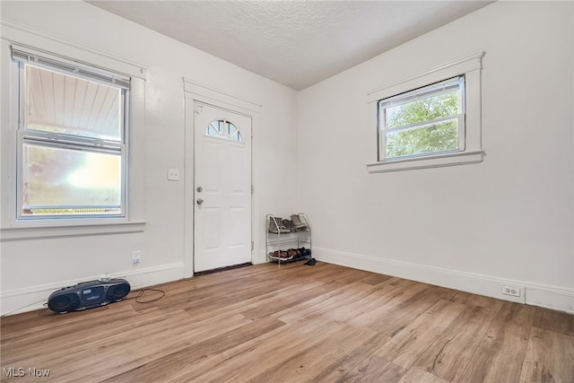 11020 Woodstock Ave, Cleveland, OH 44104 - entryway with light wood-style flooring, plenty of natural light, baseboards, and a textured ceiling