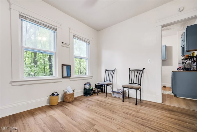 11020 Woodstock Ave, Cleveland, OH 44104 - living area featuring light wood finished floors and baseboards