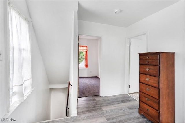 321 Cornell Ave, Youngstown, OH 44507 - bedroom featuring wood finished floors