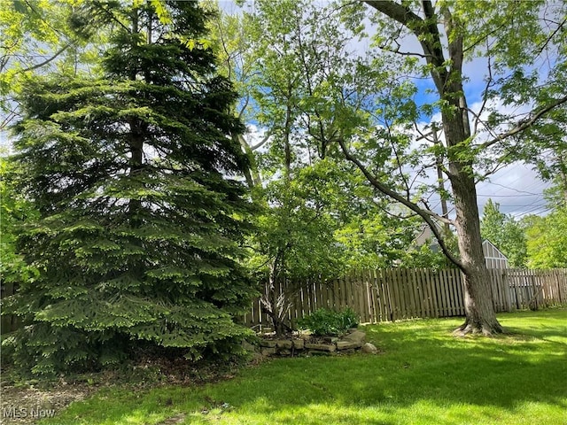 29000 Norman Ave, Wickliffe, OH 44092 - view of yard