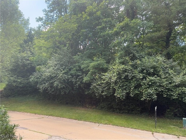 Belleau Wood Dr, Akron, OH 44303 - photo 1
