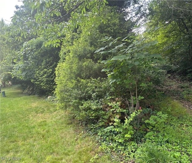 Belleau Wood Dr, Akron, OH 44303 - photo 2