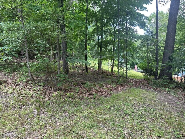 Belleau Wood Dr, Akron, OH 44303 - photo 7