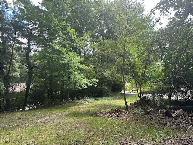 Belleau Wood Dr, Akron, OH 44303 - photo 8