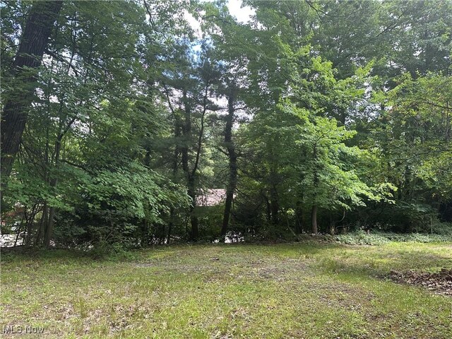 Belleau Wood Dr, Akron, OH 44303 - photo 5