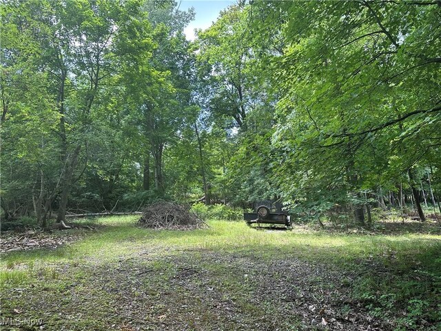 Belleau Wood Dr, Akron, OH 44303 - photo 11