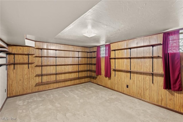 68951 Pine Terrace Rd, Bridgeport, OH 43912 - carpeted empty room with wood walls, baseboards, healthy amount of natural light, and a textured ceiling