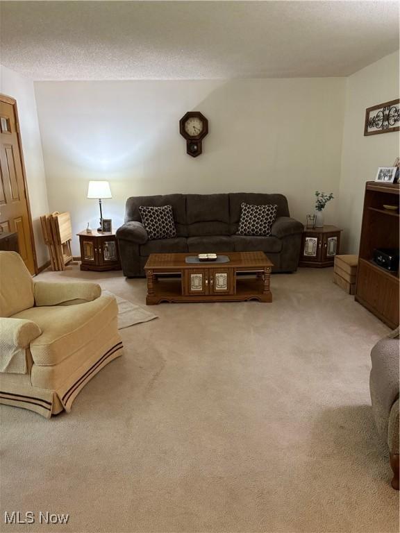 2499 Nesmith Lake Blvd, Akron, OH 44314 - living room with carpet flooring and a textured ceiling