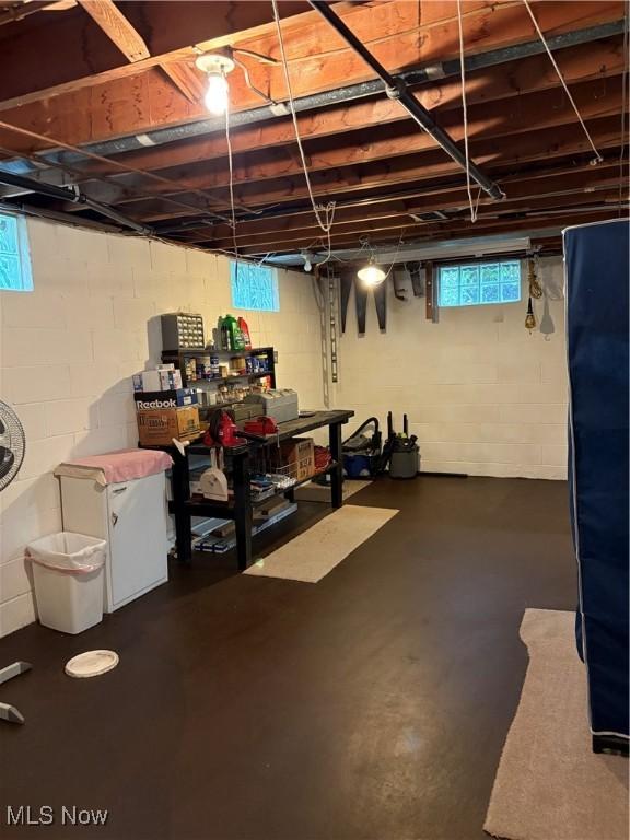 2499 Nesmith Lake Blvd, Akron, OH 44314 - basement with plenty of natural light and concrete block wall
