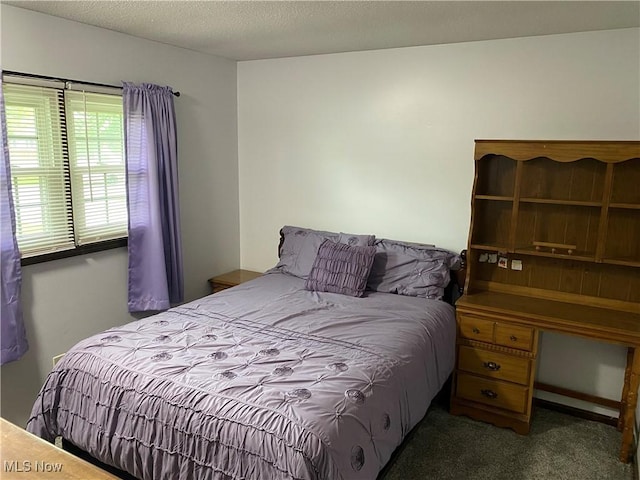 2733 W 37th St, Lorain, OH 44053 - view of carpeted bedroom