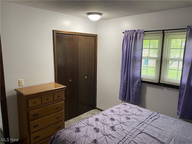 2733 W 37th St, Lorain, OH 44053 - bedroom with a closet, a textured ceiling, and carpet flooring