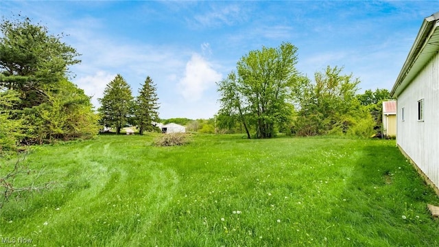 8045 Old Town Rd, East Fultonham, OH 43777 - view of yard