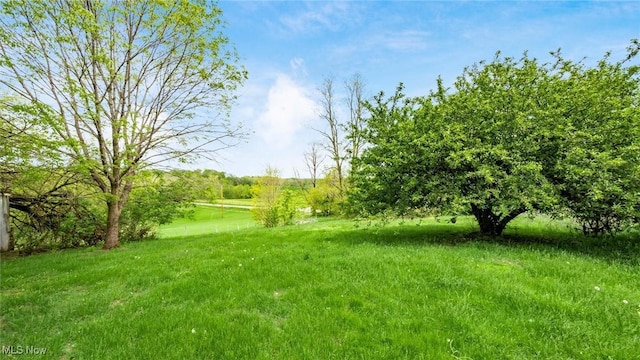 8045 Old Town Rd, East Fultonham, OH 43777 - view of yard